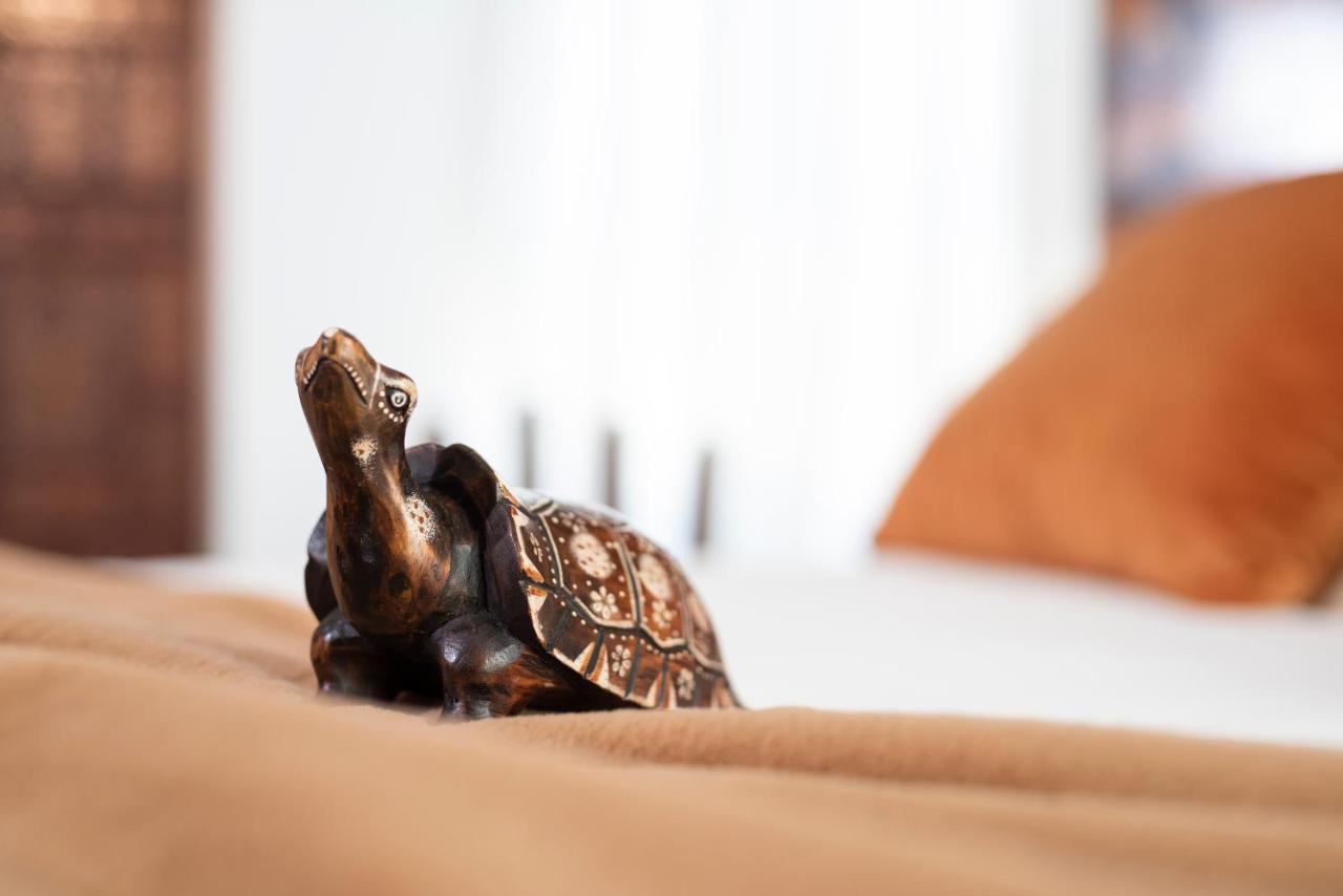 La Casa Delle Tartarughe Hotel Róma Kültér fotó